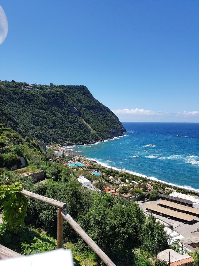 Appartamenti Su Piazza Matteotti Forio Centralissimi Екстериор снимка